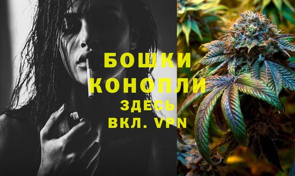 PSILOCYBIN Бугульма